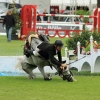 CHI Donaueschingen 2014