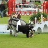 CHI Donaueschingen 2014