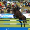 CHI Donaueschingen 2014