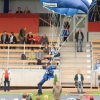 CHI Donaueschingen 2014