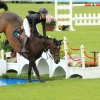 CHI Donaueschingen 2014