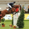 CHI Donaueschingen 2014