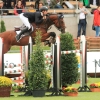 CHI Donaueschingen 2014