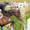 CHI Donaueschingen 2014