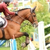 CHI Donaueschingen 2014