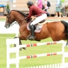 CHI Donaueschingen 2014