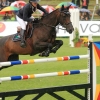 CHI Donaueschingen 2014