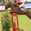 CHI Donaueschingen 2014