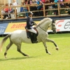 CHI Donaueschingen 2014