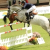 CHI Donaueschingen 2014
