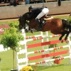 CHI Donaueschingen 2014