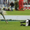CHI Donaueschingen 2014