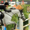 CHI Donaueschingen 2014