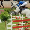 CHI Donaueschingen 2014