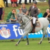 CHI Donaueschingen 2014