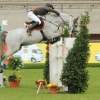 CHI Donaueschingen 2014