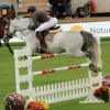 CHI Donaueschingen 2014