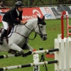 CHI Donaueschingen 2014