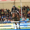 CHI Donaueschingen 2014