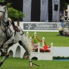 CHI Donaueschingen 2014