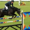 CHI Donaueschingen 2014