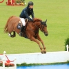 CHI Donaueschingen 2014