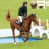 CHI Donaueschingen 2014