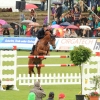 CHI Donaueschingen 2014