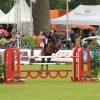 CHI Donaueschingen 2014