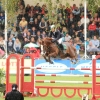 CHI Donaueschingen 2014