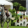 CHI Donaueschingen 2014