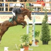 CHI Donaueschingen 2014