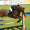 CHI Donaueschingen 2014