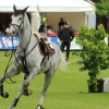 CHI Donaueschingen 2014