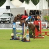 CHI Donaueschingen 2014