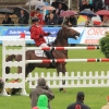 CHI Donaueschingen 2014