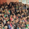 CHI Donaueschingen 2014