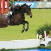 CHI Donaueschingen 2014