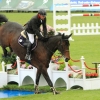 CHI Donaueschingen 2014