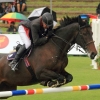 CHI Donaueschingen 2014