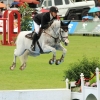 CHI Donaueschingen 2014