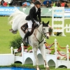 CHI Donaueschingen 2014