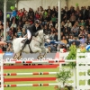 CHI Donaueschingen 2014