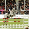 CHI Donaueschingen 2014