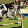 CHI Donaueschingen 2014
