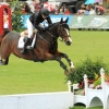 CHI Donaueschingen 2014