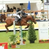 CHI Donaueschingen 2014