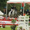 CHI Donaueschingen 2014