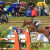 CHI Donaueschingen 2014