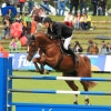 CHI Donaueschingen 2014